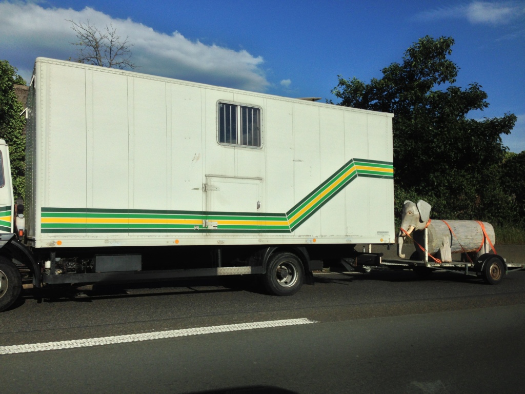 photo-6