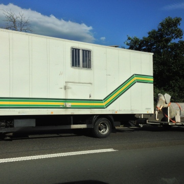 photo-6